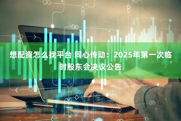 想配资怎么找平台 同心传动：2025年第一次临时股东会决议公告