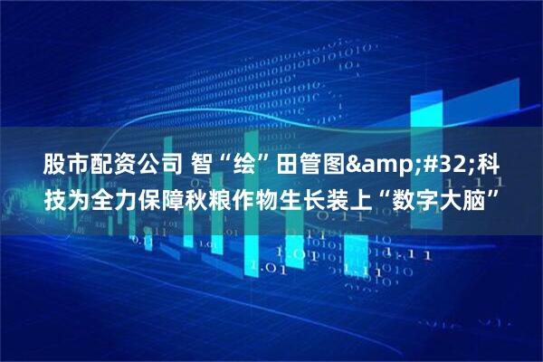 股市配资公司 智“绘”田管图&#32;科技为全力保障秋粮作物生长装上“数字大脑”