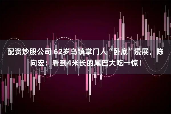 配资炒股公司 62岁乌镇掌门人“卧底”漫展，陈向宏：看到4米长的尾巴大吃一惊！