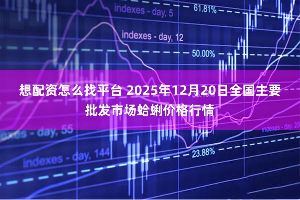 想配资怎么找平台 2025年12月20日全国主要批发市场蛤蜊价格行情